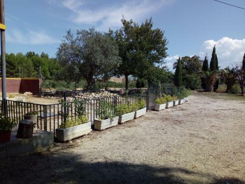 Agroturismo Casa Del Procurador
