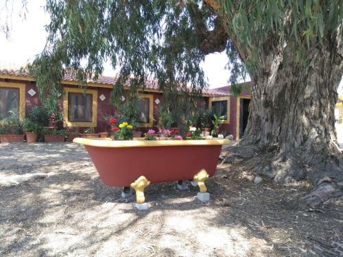 Agroturismo Casa Del Procurador