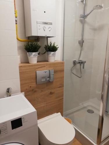 Apartamenty Agpa1