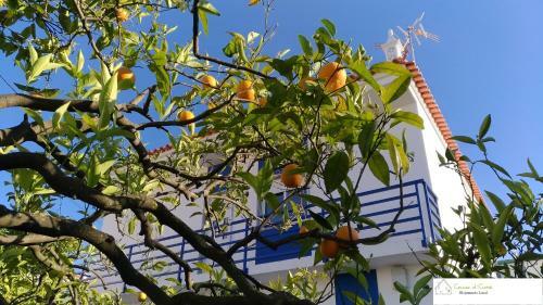 Apartamento Casa D'av� (r/c)