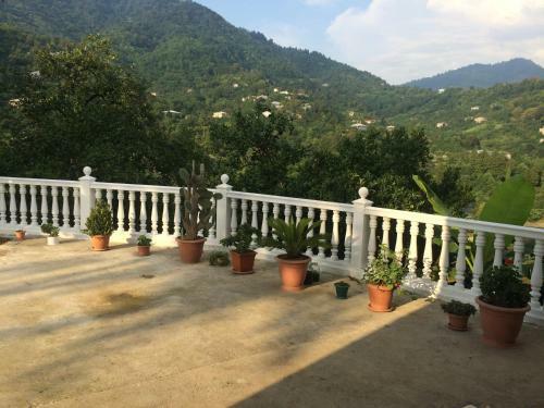 Apartamento Guest House Veli