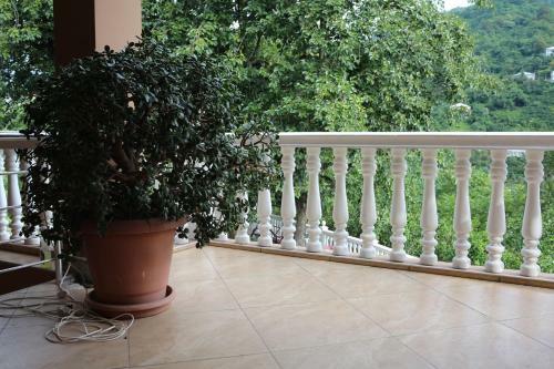 Apartamento Guest House Veli