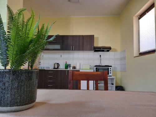 Apartmani Sunflower