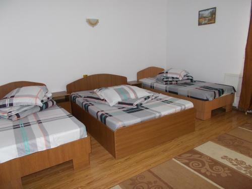 Hostal Adonis