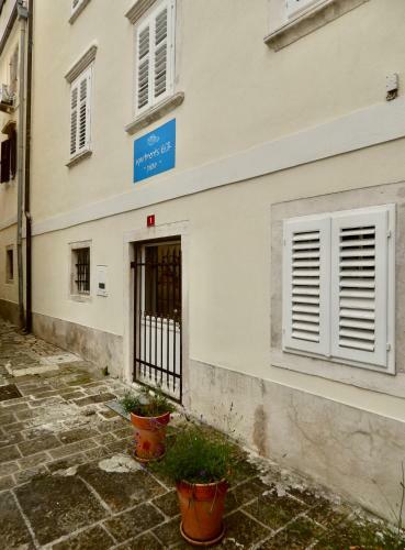 Hostal Apartments Igor