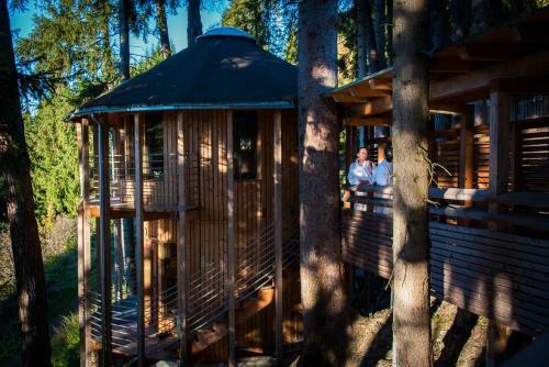 Biohotel Grafenast