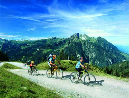 Apartamentos Pension Hochk�nigblick