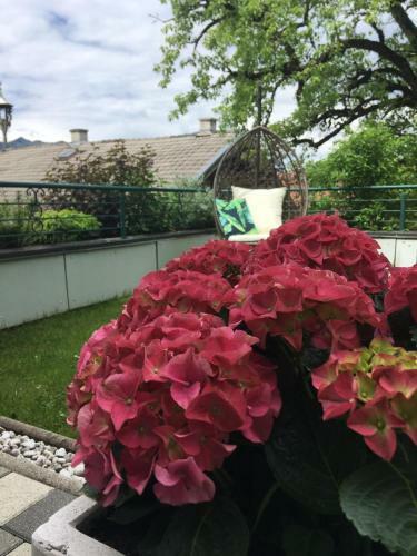 Apartamentos Pension Hochk�nigblick