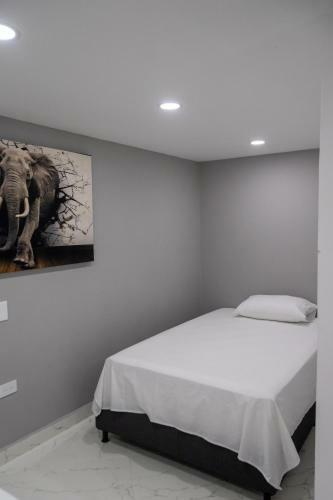 Hotel N�mada Hospedaje