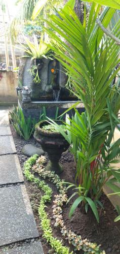Hostal Suweta46 House