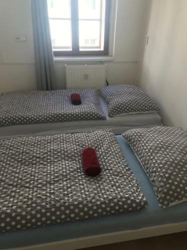 Apartment Near Olomouc Old Town Centre