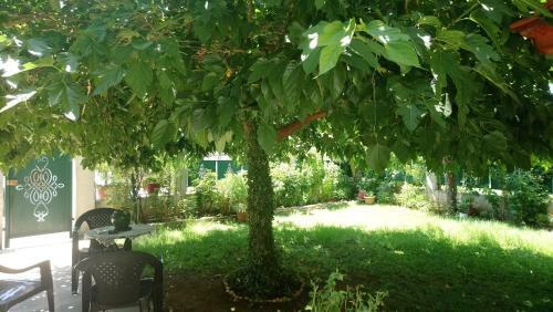 Holiday Home In Chalkidiki, Lakkoma