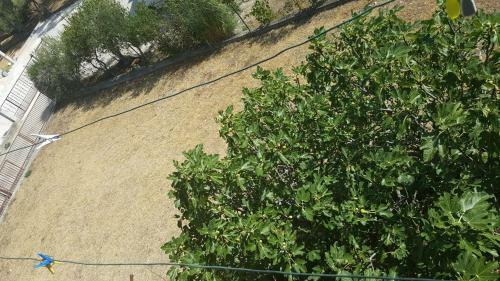 Apartamento Dalmatia Sunshine