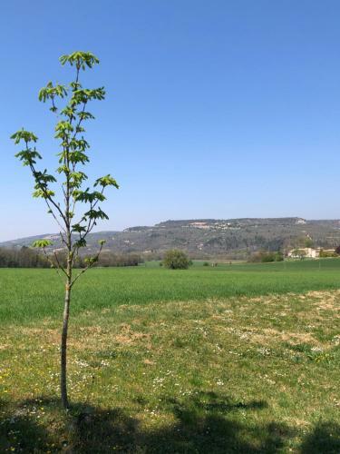 Apartamento Le Bois De Sibourg