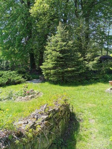 Bed & Breakfast Agroturystyka W Ogrodach