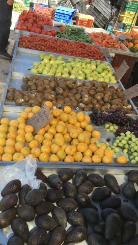 Apartamento La Mata Luxus Modern Beach Bungalow