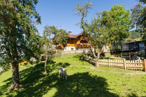 Apartamento Appartements Lehenhof