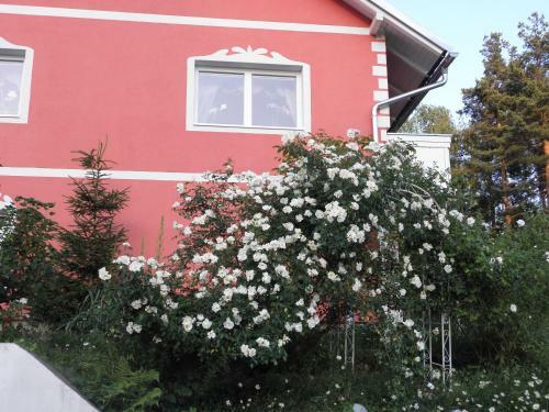 Apartamento Pension Hadanig