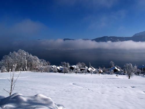 Panoramahotel Gasthof Sch�nberger