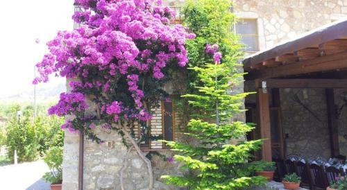 Bed & Breakfast Donna Giovanna