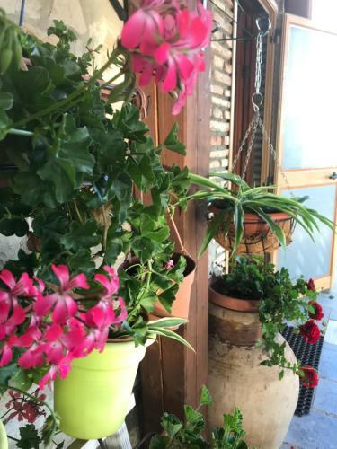 Bed & Breakfast Donna Giovanna
