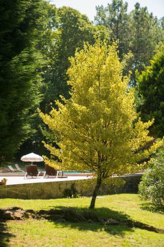 Pedreiras Cottage Rias Baixas