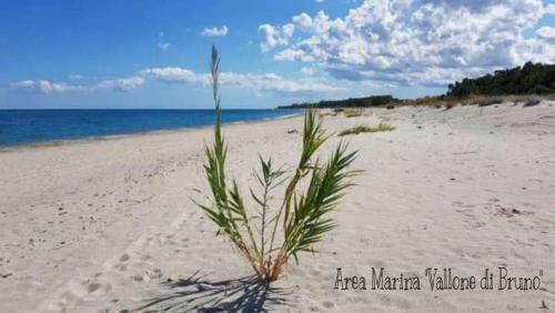 Apartamento Villa Ortensia