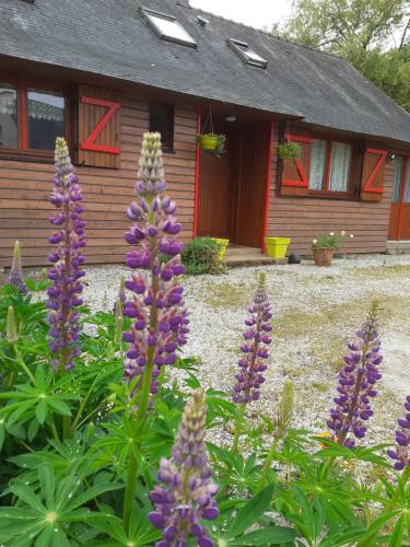Bed & Breakfast Chez Christine