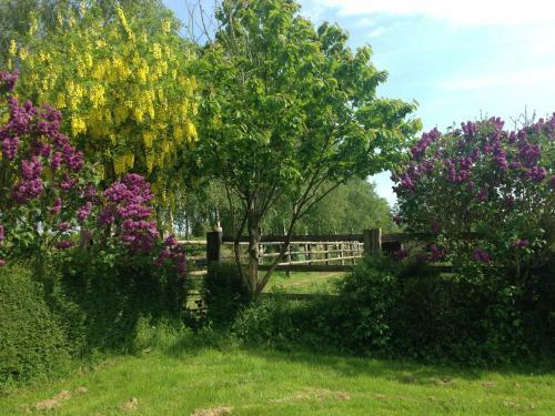 Bed & Breakfast Haras De La Croix D'argent