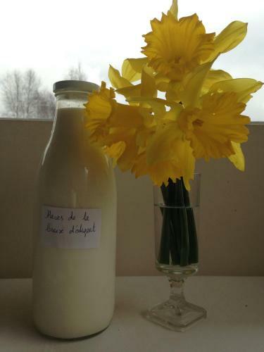 Bed & Breakfast Haras De La Croix D'argent