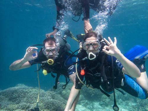 Albergue Alegria Dive Resort