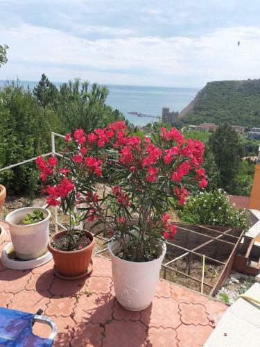 Apartamento Green, Quiet And Beautiful 2!