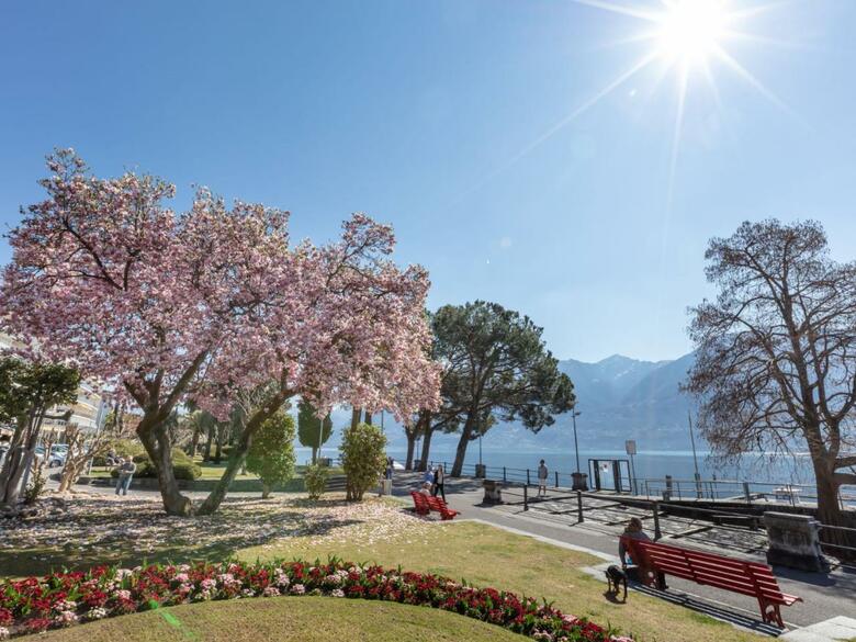 Apartment Residenza Giardino I Ascona