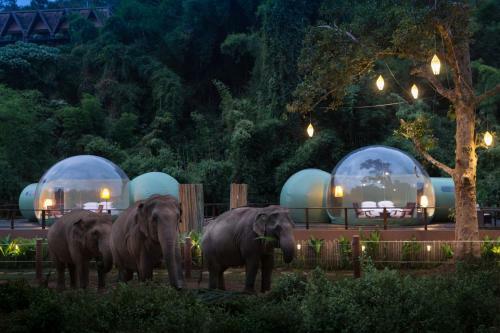 Hotel Anantara Golden Triangle Elephant Camp & Resort