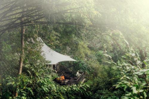 Hotel Four Seasons Tented Camp Golden Triangle
