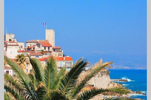 Apartamento Grand Studio Climatis� Proche Plages Juan Les Pins