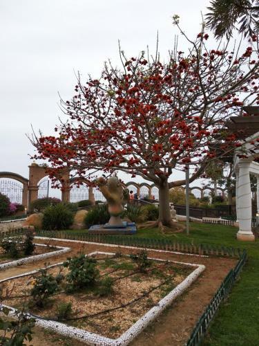 Apartamento 1� L�nea De Playa