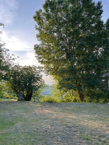 Casa Singola Immersa Nel Verde