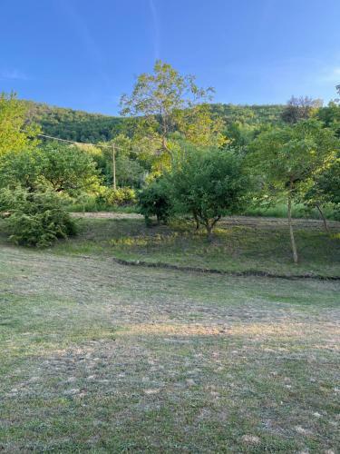 Casa Singola Immersa Nel Verde