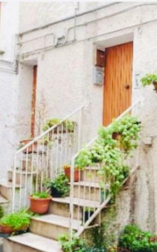 Apartamento Pretoria House