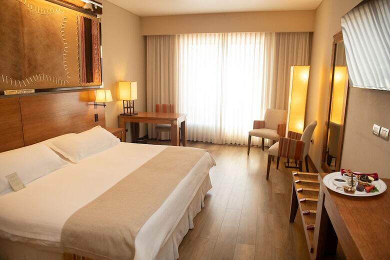 Hotel Alejandro I