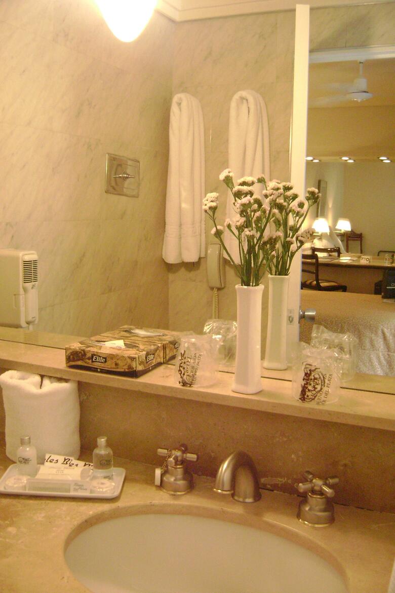 Hotel Bisonte Palace