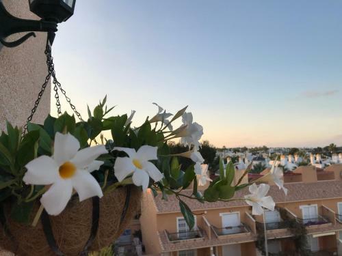 Apartment Villamartin