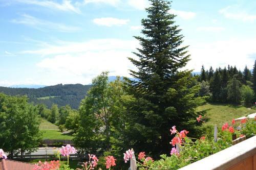 Hotel Gasthof Zum Gr�nen Baum