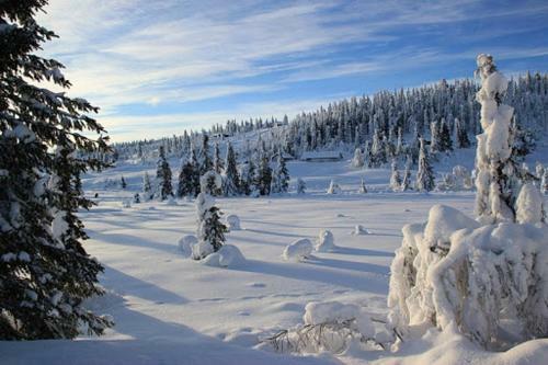Hotel Gasthof Zum Gr�nen Baum