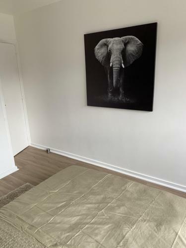 Apartamento Appartement La Belle �toile Tours Centre