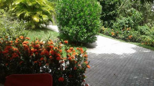 Bungalow Le Manikou