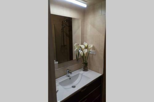 Apartamento Apto Patio Andaluz. M�ximo Confort Y Limpieza