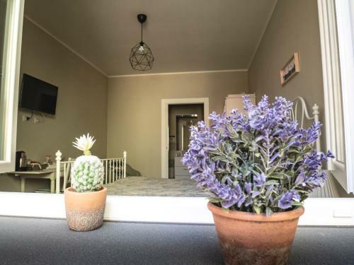 Bed & Breakfast Sa Domu Stravanara