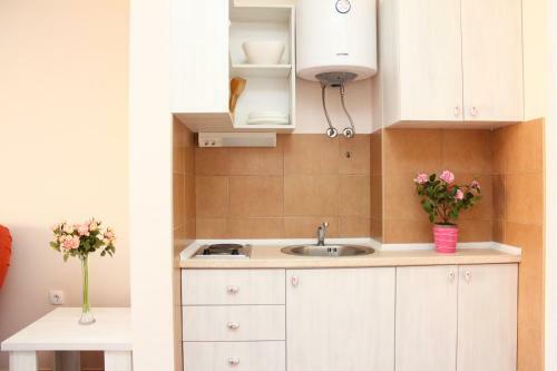 Mila & Aleksandr Apartments